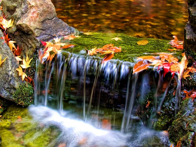 Autumn Waterfall Wallpaper - An autumn wallpaper of a lovely small waterfall with yellowed leaves, floating down the stream. - , autumn, autumns, waterfall, waterfalls, wallpaper, wallpapers, nature, natures, cartoon, cartoons, season, seasons, lovely, small, yellowed, leaves, leaf, stream, streams - An autumn wallpaper of a lovely small waterfall with yellowed leaves, floating down the stream. Solve free online Autumn Waterfall Wallpaper puzzle games or send Autumn Waterfall Wallpaper puzzle game greeting ecards  from puzzles-games.eu.. Autumn Waterfall Wallpaper puzzle, puzzles, puzzles games, puzzles-games.eu, puzzle games, online puzzle games, free puzzle games, free online puzzle games, Autumn Waterfall Wallpaper free puzzle game, Autumn Waterfall Wallpaper online puzzle game, jigsaw puzzles, Autumn Waterfall Wallpaper jigsaw puzzle, jigsaw puzzle games, jigsaw puzzles games, Autumn Waterfall Wallpaper puzzle game ecard, puzzles games ecards, Autumn Waterfall Wallpaper puzzle game greeting ecard