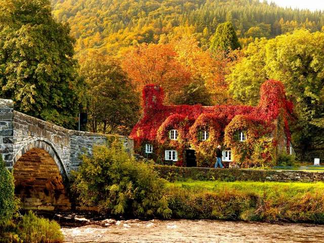 Autumn in Snowdonia National Park Llanrwst Wales UK - Marvellous autumn landscape of Snowdonia National Park in Llanrwst, North Wales, UK, with Pont Fawr, a narrow stone bridge with three arches over the Afon Conwy river and a picturesque cottage from the 15th century, which houses courthouse, covered with a copper-red ivy.<br />
Llanrwst is a small town in Conwy County Borough, Wales, which develops around the wool trade. The stone bridge Pont Fawr was built in 1636 and connects the town with Gwydir manor house. Snowdonia National Park covers 823 square miles of North-West Wales, and possess ones of the best areas in the UK for cycling and mountain biking. - , autumn, Snowdonia, National, Park, parks, Llanrwst, Wales, UK, nature, natures, places, place, marvellous, landscape, landscapes, North, Pont, Fawr, narrow, stone, bridges, bridge, arches, arch, Afon, Conwy, river, rivers, picturesque, cottage, cottages, 15th, century, courthouse, copper, red, ivy, town, towns, Conwy, County, Borough, wool, trade, Gwydir, manor, house, houses, areas, area, cycling, mountain, biking - Marvellous autumn landscape of Snowdonia National Park in Llanrwst, North Wales, UK, with Pont Fawr, a narrow stone bridge with three arches over the Afon Conwy river and a picturesque cottage from the 15th century, which houses courthouse, covered with a copper-red ivy.<br />
Llanrwst is a small town in Conwy County Borough, Wales, which develops around the wool trade. The stone bridge Pont Fawr was built in 1636 and connects the town with Gwydir manor house. Snowdonia National Park covers 823 square miles of North-West Wales, and possess ones of the best areas in the UK for cycling and mountain biking. Resuelve rompecabezas en línea gratis Autumn in Snowdonia National Park Llanrwst Wales UK juegos puzzle o enviar Autumn in Snowdonia National Park Llanrwst Wales UK juego de puzzle tarjetas electrónicas de felicitación  de puzzles-games.eu.. Autumn in Snowdonia National Park Llanrwst Wales UK puzzle, puzzles, rompecabezas juegos, puzzles-games.eu, juegos de puzzle, juegos en línea del rompecabezas, juegos gratis puzzle, juegos en línea gratis rompecabezas, Autumn in Snowdonia National Park Llanrwst Wales UK juego de puzzle gratuito, Autumn in Snowdonia National Park Llanrwst Wales UK juego de rompecabezas en línea, jigsaw puzzles, Autumn in Snowdonia National Park Llanrwst Wales UK jigsaw puzzle, jigsaw puzzle games, jigsaw puzzles games, Autumn in Snowdonia National Park Llanrwst Wales UK rompecabezas de juego tarjeta electrónica, juegos de puzzles tarjetas electrónicas, Autumn in Snowdonia National Park Llanrwst Wales UK puzzle tarjeta electrónica de felicitación