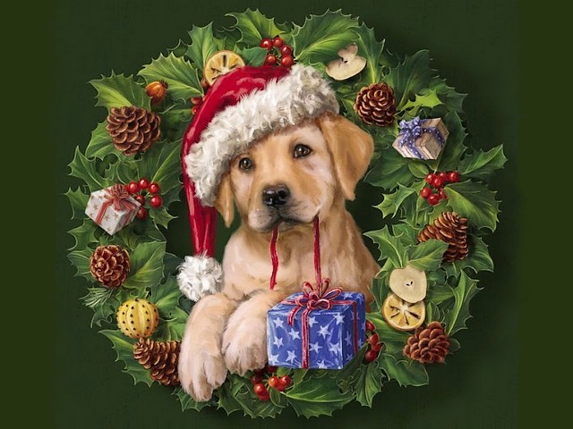 Christmas Puppy by Marcello Corti - Cute Golden Retriever Puppy in a Christmas wreath by the italian artist Marcello Corti. Marcello Corti was born in the beautiful medieval town of Bergamo in 1961.  He comes from a family of painters, sculptors and poets. A part of his professional portfolio become the advertising and graphic design. His original passion for painting he combines with his technology know-how, to create illustrations for paper stationery, picture books, gifts, household items. - , Christmas, puppy, puppies, Marcello, Corti, art, arts, holiday, holidays, cute, golden, retriever, wreath, wreaths, italian, artist, artists, beautiful, medieval, town, towns, Bergamo, 1961, family, families, painters, painter, sculptors, sculptor, poets, poet, part, parts, professional, portfolio, advertising, graphic, design, original, passion, technology, know-how, illustrations, illustration, paper, stationery, picture, books, book, gifts, gift, household, items, item - Cute Golden Retriever Puppy in a Christmas wreath by the italian artist Marcello Corti. Marcello Corti was born in the beautiful medieval town of Bergamo in 1961.  He comes from a family of painters, sculptors and poets. A part of his professional portfolio become the advertising and graphic design. His original passion for painting he combines with his technology know-how, to create illustrations for paper stationery, picture books, gifts, household items. Решайте бесплатные онлайн Christmas Puppy by Marcello Corti пазлы игры или отправьте Christmas Puppy by Marcello Corti пазл игру приветственную открытку  из puzzles-games.eu.. Christmas Puppy by Marcello Corti пазл, пазлы, пазлы игры, puzzles-games.eu, пазл игры, онлайн пазл игры, игры пазлы бесплатно, бесплатно онлайн пазл игры, Christmas Puppy by Marcello Corti бесплатно пазл игра, Christmas Puppy by Marcello Corti онлайн пазл игра , jigsaw puzzles, Christmas Puppy by Marcello Corti jigsaw puzzle, jigsaw puzzle games, jigsaw puzzles games, Christmas Puppy by Marcello Corti пазл игра открытка, пазлы игры открытки, Christmas Puppy by Marcello Corti пазл игра приветственная открытка