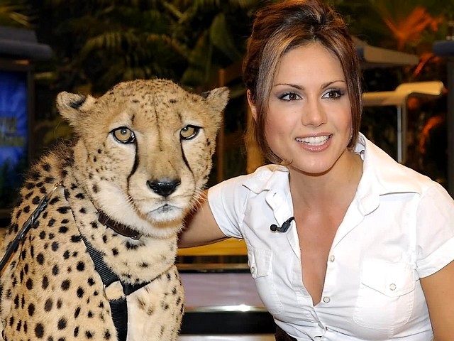 Nazan Eckes with Cheetah in Germany - A strikingly beautiful and regal cheetah with Nazan Eckes, one of most famous and an attractive presenters in Germany of Turkish descent, in the show 'The incredible quiz of the animals' of the German television channel RTL. - , Nazan, Eckes, cheetah, cheetahs, Germany, celebrities, celebrity, animals, animal, show, shows, places, place, actress, actresses, author, authors, newsreader, newsreaders, travel, travels, tour, tours, trip, trips, strikingly, beautiful, regal, famous, attractive, presenters, presenter, Turkish, descent, descents, incredible, quiz, quizes, German, television, televisions, channel, channels, RTL - A strikingly beautiful and regal cheetah with Nazan Eckes, one of most famous and an attractive presenters in Germany of Turkish descent, in the show 'The incredible quiz of the animals' of the German television channel RTL. Решайте бесплатные онлайн Nazan Eckes with Cheetah in Germany пазлы игры или отправьте Nazan Eckes with Cheetah in Germany пазл игру приветственную открытку  из puzzles-games.eu.. Nazan Eckes with Cheetah in Germany пазл, пазлы, пазлы игры, puzzles-games.eu, пазл игры, онлайн пазл игры, игры пазлы бесплатно, бесплатно онлайн пазл игры, Nazan Eckes with Cheetah in Germany бесплатно пазл игра, Nazan Eckes with Cheetah in Germany онлайн пазл игра , jigsaw puzzles, Nazan Eckes with Cheetah in Germany jigsaw puzzle, jigsaw puzzle games, jigsaw puzzles games, Nazan Eckes with Cheetah in Germany пазл игра открытка, пазлы игры открытки, Nazan Eckes with Cheetah in Germany пазл игра приветственная открытка