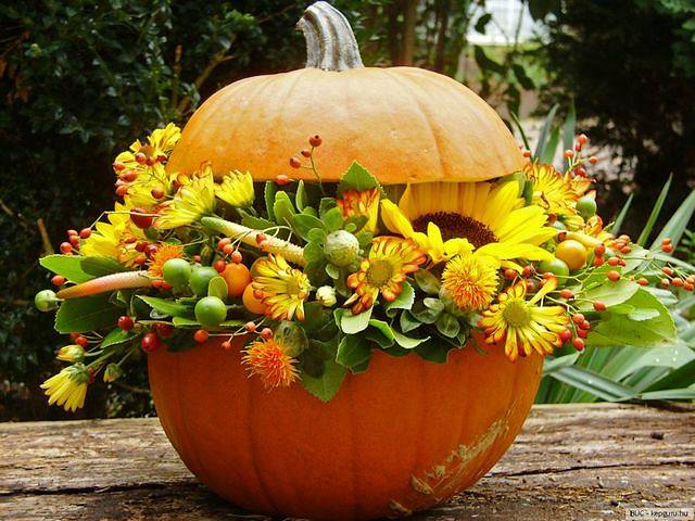 Autumn Decoration Pumpkin with Flowers - Beautiful autumn decoration for a table in the garden, with flowers in a carved pumpkin vase. - , autumn, decoration, decorations, pumpkin, pumpkins, flowers, flower, holidays, holiday, feast, feasts, nature, natures, season, seasons, beautiful, table, tables, garden, gardens, carved, pumpkin, pumpkins, vase, vases - Beautiful autumn decoration for a table in the garden, with flowers in a carved pumpkin vase. Решайте бесплатные онлайн Autumn Decoration Pumpkin with Flowers пазлы игры или отправьте Autumn Decoration Pumpkin with Flowers пазл игру приветственную открытку  из puzzles-games.eu.. Autumn Decoration Pumpkin with Flowers пазл, пазлы, пазлы игры, puzzles-games.eu, пазл игры, онлайн пазл игры, игры пазлы бесплатно, бесплатно онлайн пазл игры, Autumn Decoration Pumpkin with Flowers бесплатно пазл игра, Autumn Decoration Pumpkin with Flowers онлайн пазл игра , jigsaw puzzles, Autumn Decoration Pumpkin with Flowers jigsaw puzzle, jigsaw puzzle games, jigsaw puzzles games, Autumn Decoration Pumpkin with Flowers пазл игра открытка, пазлы игры открытки, Autumn Decoration Pumpkin with Flowers пазл игра приветственная открытка