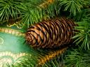 Christmas Decoration with Pinecone