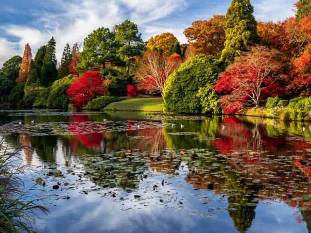 Autumn at Sheffield Park Sussex UK пазл игру 