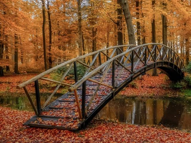 Autumn in Park Brummen Netherlands juego de puzzle 