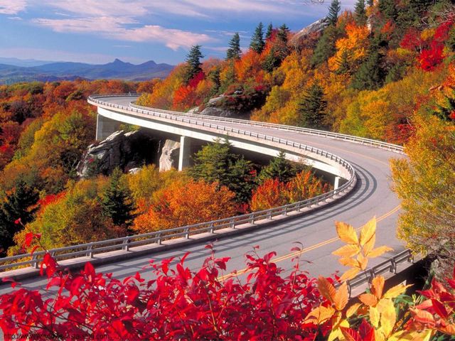 Linn Cove Viaduct on Blue Ridge Parkway North Carolina in Fall - Relaxing scenic beauty in fall from the Linn Cove Viaduct on Blue Ridge Parkway in North Carolina. Blue Ridge Parkway is the most spectacular place in the country to enjoy the sweeping views of the enchanting autumn colors from different elevations along the parkway. The Blue Ridge Parkway, which runs 469 miles (755 km) along the major mountain chain Blue Ridge, a part of the Appalachian Mountains, connects two stunning national parks - 'Shenandoah National Park' in Virginia and 'Great Smoky Mountains National Park' in North Carolina. - , Linn, Cove, viaduct, viaducts, Blue, Ridge, parkway, parkways, North, Carolina, fall, nature, natures, place, places, relaxing, scenic, beauty, spectacular, place, places, country, countries, sweeping, views, view, enchanting, autumn, colors, color, elevations, elevation, mountain, mountains, chain, chains, Appalachian, stunning, national, parks, park, Shenandoah, Virginia, Great, Smoky - Relaxing scenic beauty in fall from the Linn Cove Viaduct on Blue Ridge Parkway in North Carolina. Blue Ridge Parkway is the most spectacular place in the country to enjoy the sweeping views of the enchanting autumn colors from different elevations along the parkway. The Blue Ridge Parkway, which runs 469 miles (755 km) along the major mountain chain Blue Ridge, a part of the Appalachian Mountains, connects two stunning national parks - 'Shenandoah National Park' in Virginia and 'Great Smoky Mountains National Park' in North Carolina. Решайте бесплатные онлайн Linn Cove Viaduct on Blue Ridge Parkway North Carolina in Fall пазлы игры или отправьте Linn Cove Viaduct on Blue Ridge Parkway North Carolina in Fall пазл игру приветственную открытку  из puzzles-games.eu.. Linn Cove Viaduct on Blue Ridge Parkway North Carolina in Fall пазл, пазлы, пазлы игры, puzzles-games.eu, пазл игры, онлайн пазл игры, игры пазлы бесплатно, бесплатно онлайн пазл игры, Linn Cove Viaduct on Blue Ridge Parkway North Carolina in Fall бесплатно пазл игра, Linn Cove Viaduct on Blue Ridge Parkway North Carolina in Fall онлайн пазл игра , jigsaw puzzles, Linn Cove Viaduct on Blue Ridge Parkway North Carolina in Fall jigsaw puzzle, jigsaw puzzle games, jigsaw puzzles games, Linn Cove Viaduct on Blue Ridge Parkway North Carolina in Fall пазл игра открытка, пазлы игры открытки, Linn Cove Viaduct on Blue Ridge Parkway North Carolina in Fall пазл игра приветственная открытка