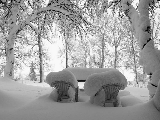 Serene Winter Scene puzzle game 