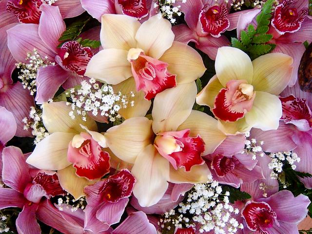 Cymbidium Orchid Bouquet Puzzle Spiel 