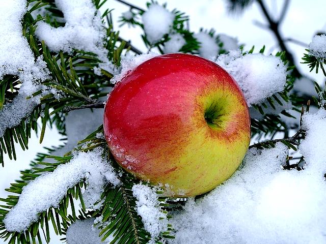 Apple on Snowy Branch пъзел игра 