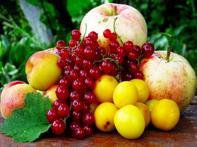 Fruits Mixed Set juego de puzzle 