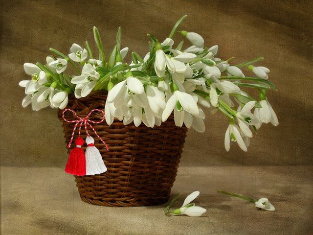 Snowdrops with Bulgarian Martenitsa Wallpaper - Wallpaper with beautiful heralds of spring, delicate white snowdrops (Galanthus nivalis) nestled in wicker basket, which is decorated with red and white tassels of Bulgarian martenitsa, symbol of new life, fertility, good health and luck. The white colour symbolizes purity and the red is a symbol of the life and the passion. - , snowdrops, snowdrop, Bulgarian, martenitsa, martenitsi, wallpaper, wallpapers, holiday, holidays, flower, flowers, feast, feasts, season, seasons, beautiful, heralds, herald, spring, delicate, white, Galanthus, nivalis, wicker, basket, baskets, red, tassels, tassel, symbol, symbols, new, life, lives, fertility, health, luck, colour, colours, purity, passion, passions - Wallpaper with beautiful heralds of spring, delicate white snowdrops (Galanthus nivalis) nestled in wicker basket, which is decorated with red and white tassels of Bulgarian martenitsa, symbol of new life, fertility, good health and luck. The white colour symbolizes purity and the red is a symbol of the life and the passion. Решайте бесплатные онлайн Snowdrops with Bulgarian Martenitsa Wallpaper пазлы игры или отправьте Snowdrops with Bulgarian Martenitsa Wallpaper пазл игру приветственную открытку  из puzzles-games.eu.. Snowdrops with Bulgarian Martenitsa Wallpaper пазл, пазлы, пазлы игры, puzzles-games.eu, пазл игры, онлайн пазл игры, игры пазлы бесплатно, бесплатно онлайн пазл игры, Snowdrops with Bulgarian Martenitsa Wallpaper бесплатно пазл игра, Snowdrops with Bulgarian Martenitsa Wallpaper онлайн пазл игра , jigsaw puzzles, Snowdrops with Bulgarian Martenitsa Wallpaper jigsaw puzzle, jigsaw puzzle games, jigsaw puzzles games, Snowdrops with Bulgarian Martenitsa Wallpaper пазл игра открытка, пазлы игры открытки, Snowdrops with Bulgarian Martenitsa Wallpaper пазл игра приветственная открытка