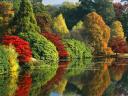 Autumn in East Sussex Sheffield Park England
