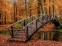 Autumn in Park Brummen Netherlands