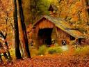 Old Barn at Autumn Wallpaper