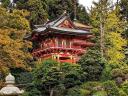 Japanese Tea Garden San Francisco USA