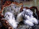 Doggies by Vladimir Volegov